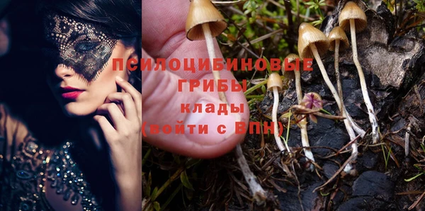 кокс Карпинск