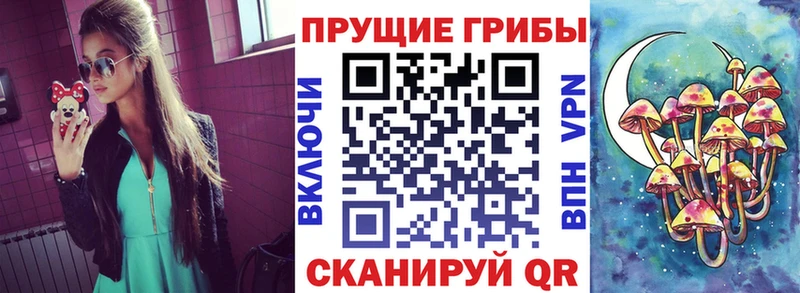 Галлюциногенные грибы GOLDEN TEACHER  Купить закладки  Давлеканово 